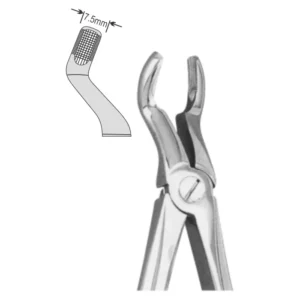 EXTRACTION FOCEPS STANDARD ENGLISH PATTERN