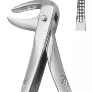 EXTRACTION FOCEPS STANDARD ENGLISH PATTERN